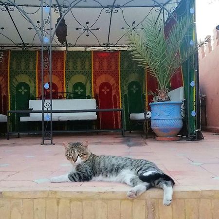 Riad Araba Felice Μαρακές Εξωτερικό φωτογραφία