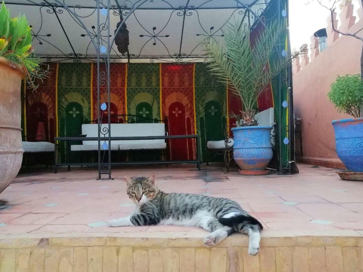 Riad Araba Felice Μαρακές Εξωτερικό φωτογραφία